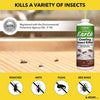 Diatomaceous Earth