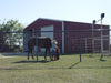 Horse Panel 16ft (Hot dipped)