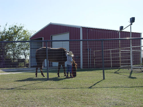 Horse Panel 16ft (Hot dipped)