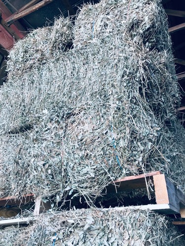 Peanut Hay Bale