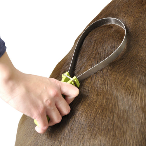 Dual-Sided Dog Shedding Blade