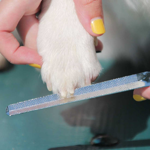Dog Nail File