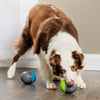 Ricochet Electronic Interactive Dog Toy