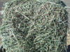 Timothy / Alfalfa Hay Bale